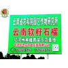 云南軟籽石榴小樹(shù)苗@適合云南的軟籽石榴種苗&產(chǎn)地石榴苗