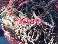 云南板栗價(jià)格◆云南核桃多少錢一斤◆云南核桃批發(fā)市場圖1