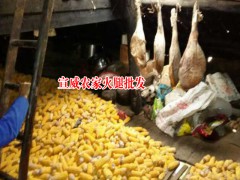 云南特產(chǎn)有哪些|宣威老火腿|宣威金錢腿多少錢圖1