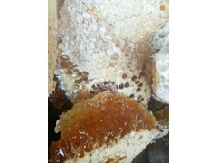 蜂蜜面膜做法圖1