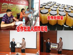 云南普洱墨江縣蜂蜜哪里多？圖2