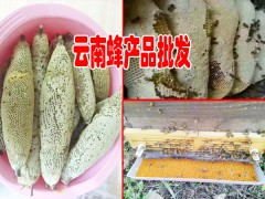 云南普洱墨江縣蜂蜜哪里多？圖3