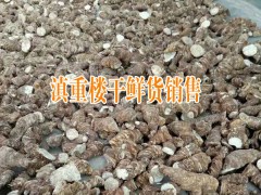 出售滇重樓種子_優(yōu)質重樓種子批發(fā)供應商_公司銷售重樓種圖2