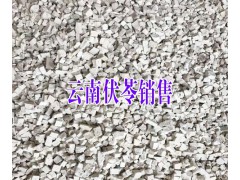半夏的市場價格_旱半夏價格中心_鮮旱半夏新價格圖3