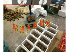 天麻市場+今年昭通鮮天麻價格是多少？圖1