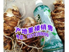 滇重樓在哪里購(gòu)買到正品@圖2