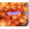 華重樓與滇重樓有什么不同?華重樓，南重樓，滇重樓