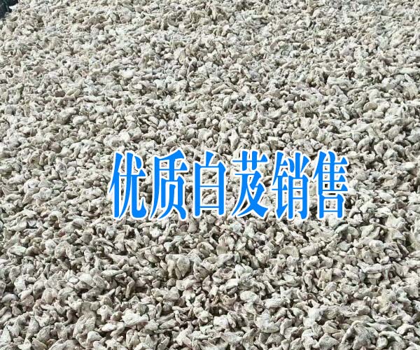 種植白芨一畝需要多少錢(qián)_種植白芨的公司銷(xiāo)售小苗圖2