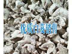 種植白芨一畝需要多少錢(qián)_種植白芨的公司銷(xiāo)售小苗圖3