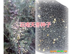 產(chǎn)地麗江天冬銷售價格#云南天門冬哪里低價，圖2