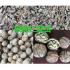 曲靖核桃、核桃仁現(xiàn)貨批發(fā)，含油量高價格美麗