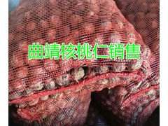 曲靖核桃、核桃仁現(xiàn)貨批發(fā)，含油量高價(jià)格美麗圖2