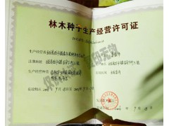云南雪桃小苗批發(fā)公司（廠家）#雪桃樹(shù)苗批發(fā)基地圖2