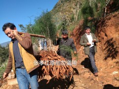 客戶親自來(lái)考察