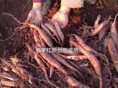 簡(jiǎn)介：