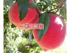 雪桃樹(shù)苗價(jià)格便宜是多少麗江雪桃樹(shù)苗#圖3