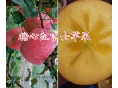 昆明周邊糖心紅富士蘋果批發(fā)商/曲靖糖心紅富士蘋果批發(fā)供應(yīng)圖1