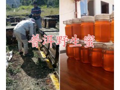云南蜂王漿高產(chǎn)蜂合作社-普洱蜂王漿圖片，蜂王漿供應圖1
