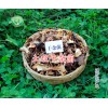 云南干雜菌-干雜菌批發(fā)價是多少？大理干牛肝菌特產商