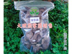 云南干雜菌-干雜菌批發(fā)價(jià)是多少？大理干牛肝菌特產(chǎn)商圖3