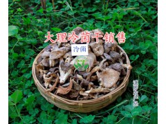 雞足山冷菌干供應(yīng)-云南松茸干批發(fā)-大理二級(jí)松茸干廠家圖1