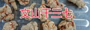 文山自產(chǎn)三七：干三七銷(xiāo)售-文山三七干批發(fā)價(jià)格