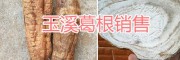 玉溪生態(tài)野葛根、葛根干片銷售，干葛根批發(fā)
