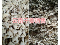 云南哪里干姜品質好？曲靖羅平干姜銷售價格、干姜供應圖3