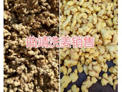 云南板橋鎮(zhèn)干姜塊%羅平小黃姜批發(fā)價(jià)格/曲靖鮮姜加工、洗姜銷售圖2