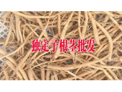 獨(dú)定子價(jià)格|獨(dú)定子種子2018年價(jià)格|鮮重樓多少錢一公斤圖2