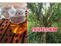 紅河古樹生態(tài)茶多少錢一斤|云南紅河古樹生態(tài)茶分布地區(qū)圖3