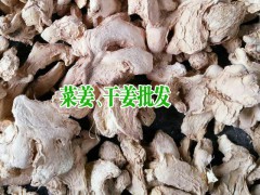 羅平生姜價格_云南羅平生姜交易市場_生姜銷售經(jīng)營部圖2