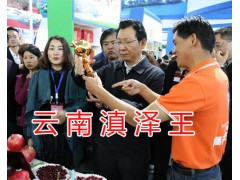 云南有代表性的石榴：滇澤王黑籽石榴-石榴中的黑美人圖1