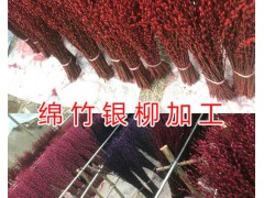 銀柳花批發(fā)價(jià)格&四川銀柳銷(xiāo)售價(jià)格/銀柳加工基地圖3