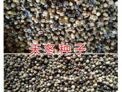 云南天冬種子一公斤的價格&昆明天門冬種植合作社圖2