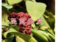 兔耳風干貨批發(fā)&昆明祿勸首烏、夜交藤、土荊芥藥材出售圖2