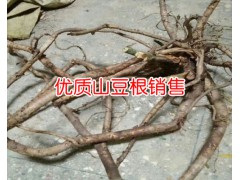 山豆根_ 山豆根種植前景_ 山豆根種子價(jià)格_  山豆根種苗圖3