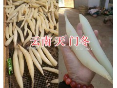 云南中藥材天冬_云南天門(mén)冬批發(fā)-青野中藥材圖1