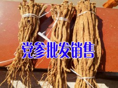 黨參成品出售-貴州黨參價格/畢節(jié)黨參供應圖2