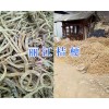 桔梗批發(fā)價(jià)格/云南價(jià)格桔梗-麗江桔梗銷售供應(yīng)