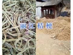 桔梗批發(fā)價格/云南價格桔梗-麗江桔梗銷售供應圖2
