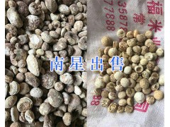 昆明中藥材供應(yīng)：大天冬、天南星、龍膽草、茯苓塊_云南藥材圖3
