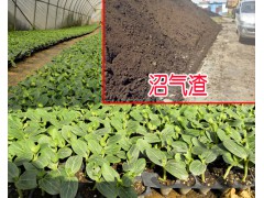 沼氣渣都有哪些特點(diǎn)#沼氣渣的正確使用方法資料_沼氣渣圖3
