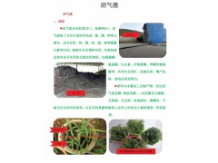 沼氣渣用來栽培種植好不好?+有質(zhì)量技術(shù)檢測報告圖1