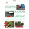 沼氣渣用來栽培種植好不好?+有質量技術檢測報告