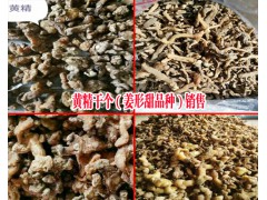 黃精干個(gè)/貴州黃精干貨批發(fā)-姜形甜品種_聚昌鼎中藥材圖2