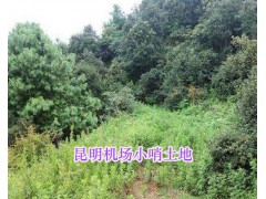 昆明機(jī)場(chǎng)周邊土地流轉(zhuǎn)：小哨白漢場(chǎng)村土地1333平米轉(zhuǎn)讓出租圖1