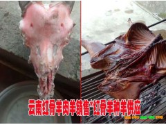 2019-2020紅骨羊多少錢(qián)一只@云南紅骨山羊銷(xiāo)售價(jià)格&