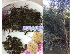 無量山古樹茶葉-普洱古樹茶批發(fā)_云南古樹茶葉銷售圖2