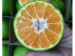 青柚批發(fā)-泰國青柚子/紅河州香橙銷售圖1